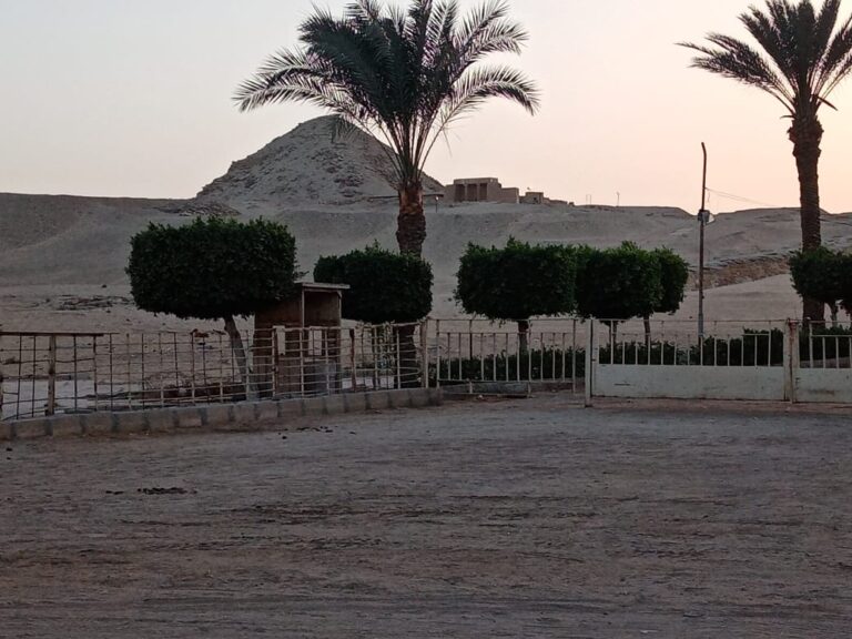 PHOTO-2025-04-03-22-00-27_1